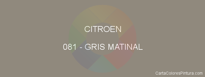 Pintura Citroen 081 Gris Matinal