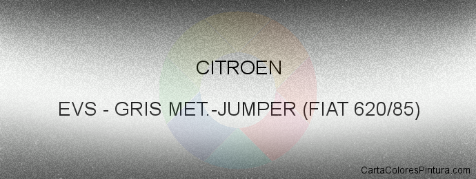 Pintura Citroen EVS Gris Met.-jumper (fiat 620/85)