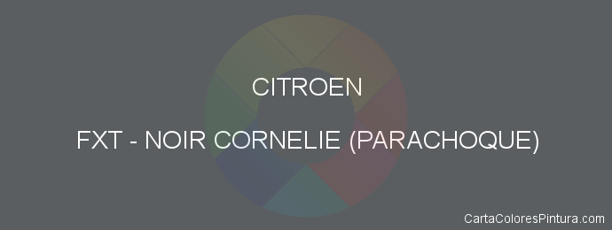 Pintura Citroen FXT Noir Cornelie (parachoque)