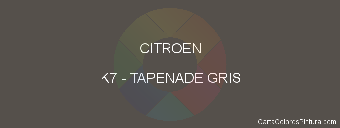 Pintura Citroen K7 Tapenade Gris