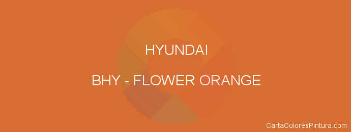 Pintura Hyundai BHY Flower Orange