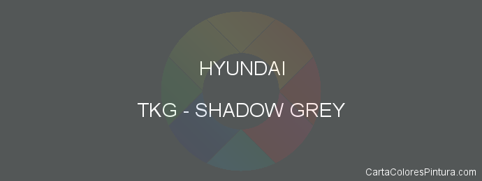 Pintura Hyundai TKG Shadow Grey