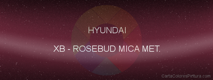 Pintura Hyundai XB Rosebud Mica Met.