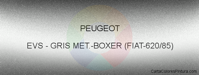 Pintura Peugeot EVS Gris Met.-boxer (fiat-620/85)