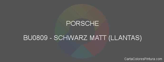 Pintura Porsche BU0809 Schwarz Matt (llantas)