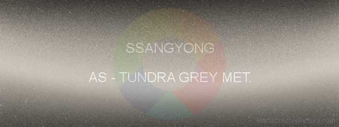 Pintura Ssangyong AS Tundra Grey Met.