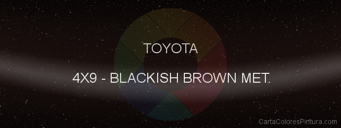 Pintura Toyota 4X9 Blackish Brown Met.